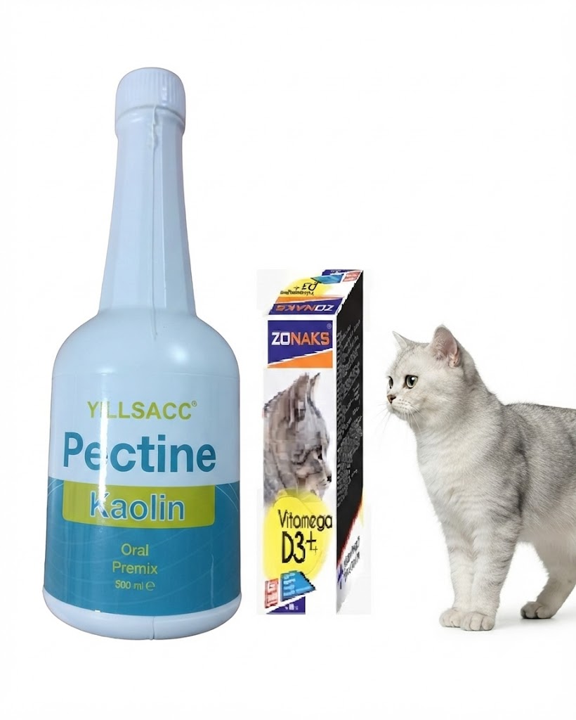 Yillsacc Pectine Kaolin Oral Premix 500 ml ve Zonaks  Vitamega Cat D3 100 ml+ Kedi Bakım Seti